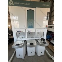 AMAT 300mm Centura AP EMax System...